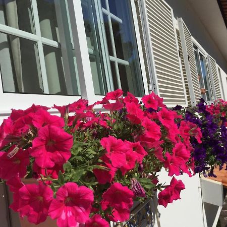 Residencial Celeste Агеда Экстерьер фото
